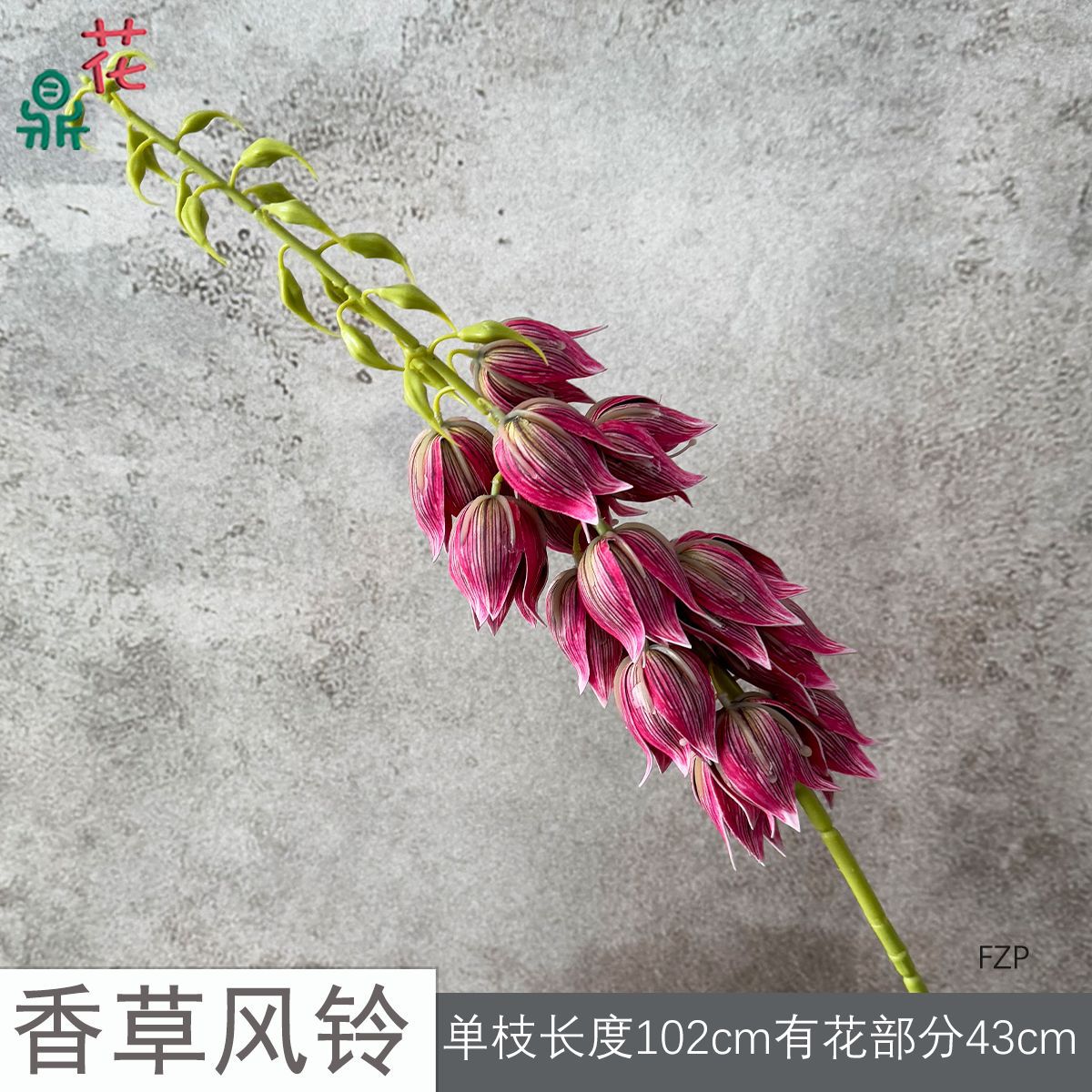 바닐라 풍경 FZP 로즈 핑크
