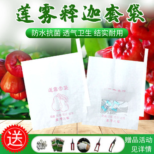 ���lɏ�F�״����P����Ȼ�����â��ľ�������״�������ˮ�x��