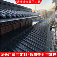 �S��ֱ�N �¹��X�� �Ž���픽����B�w�� �X�V�i�Ͻ���wͲ�߰���