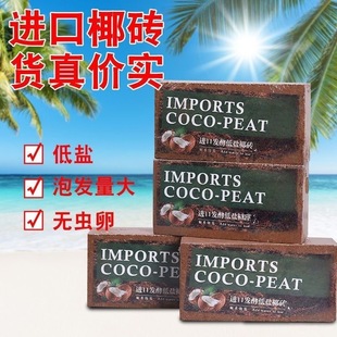 ���ݰlҬ�u�I�B��ͨ����Ҭ����Ҭ����Ҭ���N�B���N����}�Nֲ��K