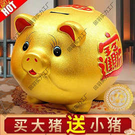 存钱罐儿童储蓄罐小猪金钱猪只进不出新款储钱可存取摆件传统玩具
