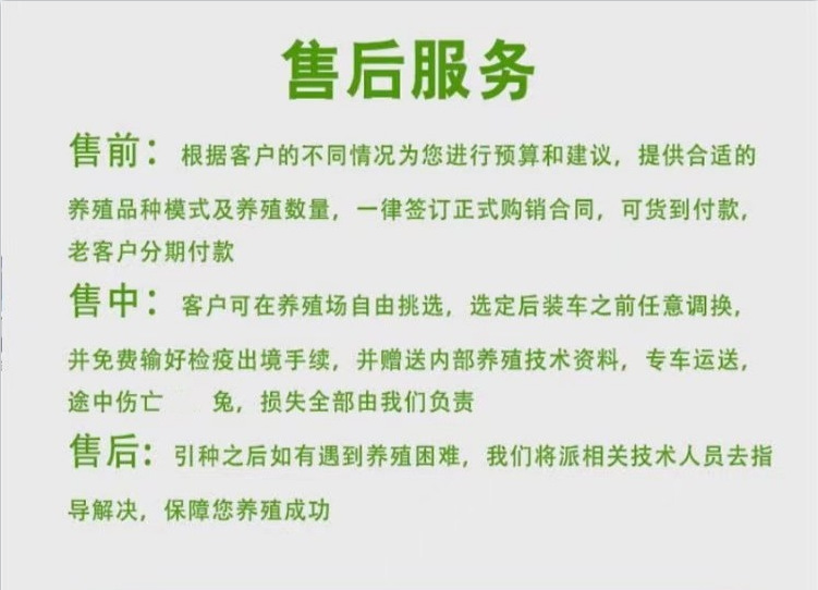 微信图片_20240301110701.png