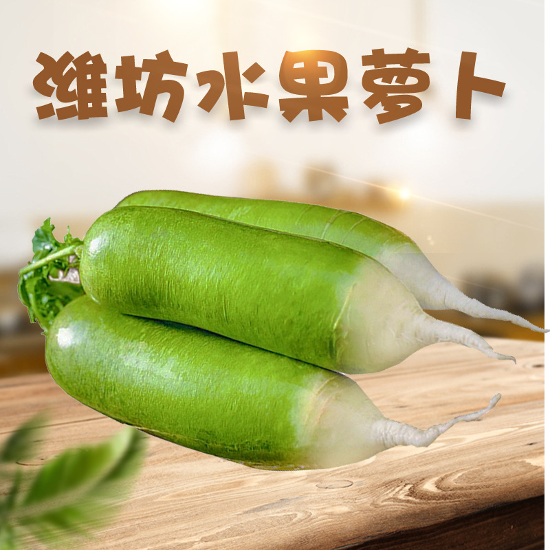 山东潍坊水果萝卜代发3/9斤甜脆青萝卜新鲜冰激凌甜萝卜应该蔬菜