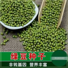 ƷNGNӸ߮a͟׷NGѿ紺ļ̨׷N