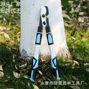 �ɶ��ƾG���µ��^��s�X�Ͻ��֦����֦����֦��@ˇ����������