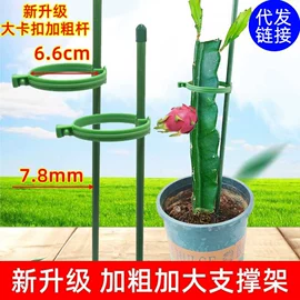 其他园林资材;园艺工具;园艺灌溉工具