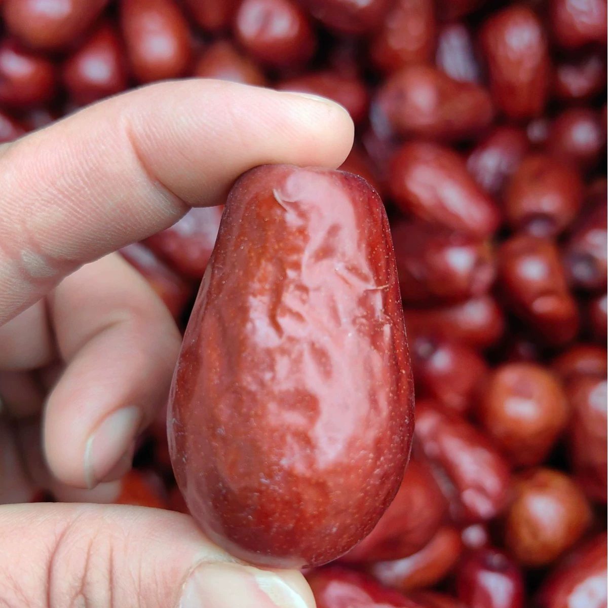 Новые товары оптом Hutian Jujube 500 г натурального мяса, густого и полного Синьцзянского ядерного продукта