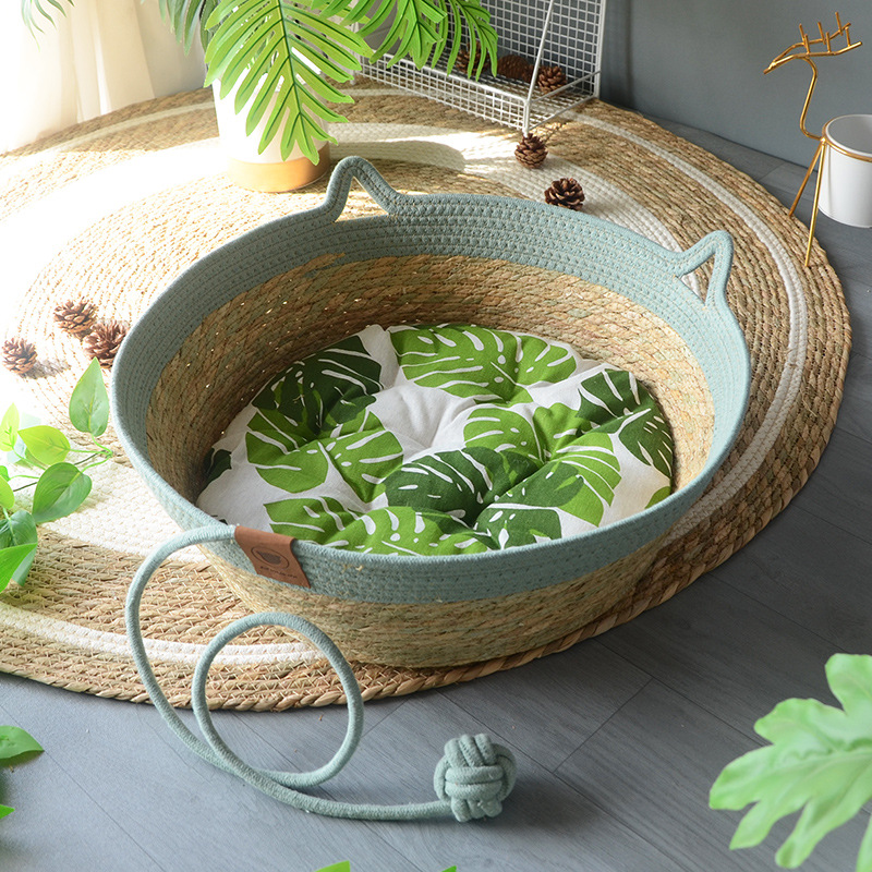 바다색 재미있는 스타일 + 녹색 잎 화장솜