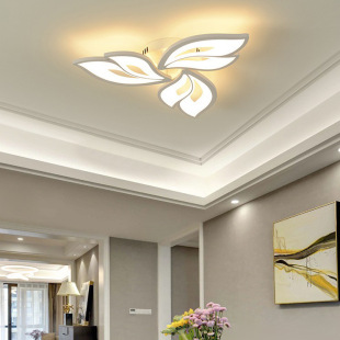 Cross-border bedroom ceiling lamp modern simple warm personality creative home acrylic living room petal restaurant lamps