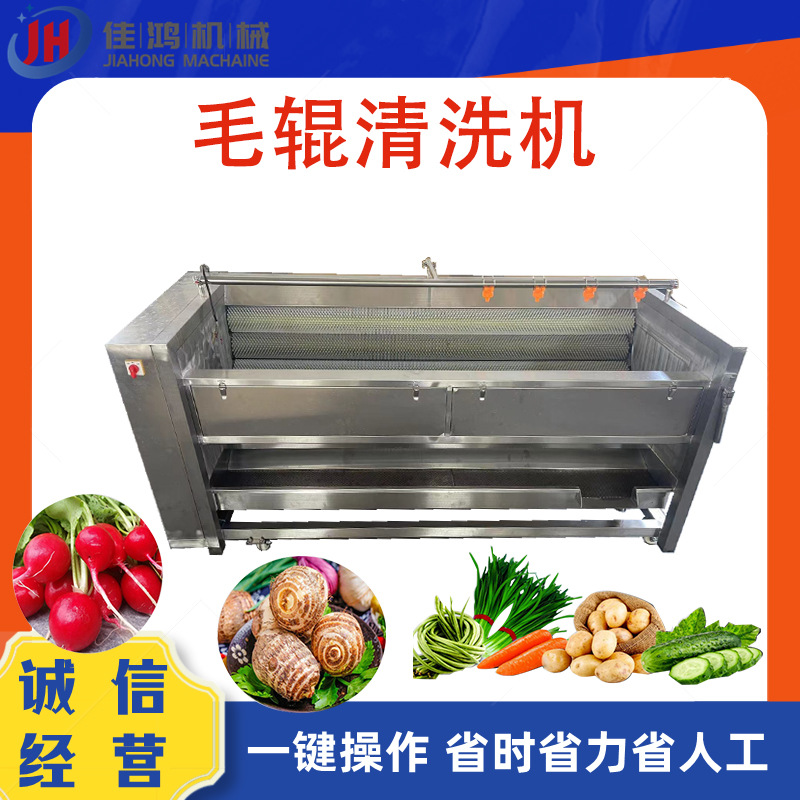 全自动生姜毛辊清洗机不锈钢土豆去皮机连续式根茎类毛刷清洗机器