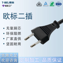 厂家批发国标英规欧式德标美标两插电源线TUV认证欧式欧标两插电