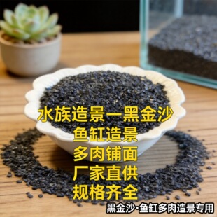 �ڽ�ɳ�~���쾰��ɰ��ɫ����ɰ�����������΢���^�쾰�辰ɳ�P
