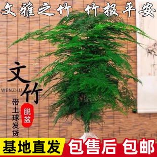��������ֲ���k���ҾGֲ���ܿ͏d�ش���簫��Ʒ�|����辰̦�\��
