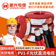 �V�����d PV1-F���ֱ����4/6ƽ��̫��ܸ߉���|�����˼��~��a