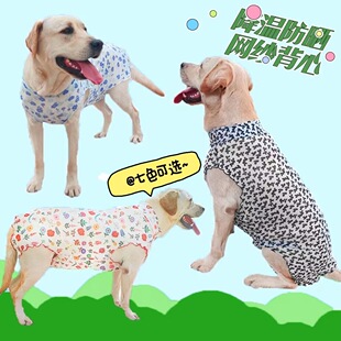 ̩������Ȯ͸��W�����Ϲ������ط�����m�^��������Ǳ��ĳ���