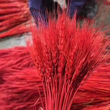 ���l���Sɫ��Ȼ����ɻ����_�I�����S��ֱ�N�ɻ����뻨�@�b���