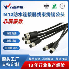 M12航空插头8芯线束电缆PVC非屏蔽公头ABD编码直头防水连接器