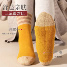 ���m��Ů�����ӽq�Ӻ�ë���m�l�y��ů��Ͳ�m��ϵ�ٴ�ë��Ȧ�m��