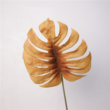 ��ɫϵ�����~�͹Ÿɘ�֦����ֲ���c�廨�b��~���s�zӰ�������l