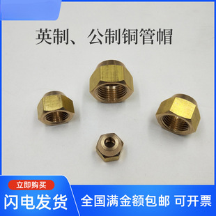 �~�{�ӿ��{�~��ĸ ���ȿ���ñ���{�U����ĸ�~���iĸ��ñ�������