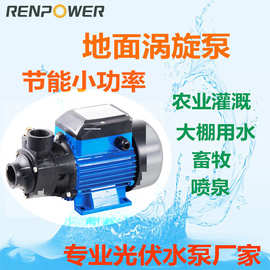 SQB2.0/25-D24/250 太阳能光伏地面泵 便携式直流抽水泵