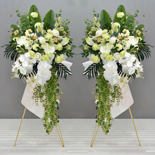 �_�I���@�ٻ������w�c��ӭ�e�b[���̈���䁙��������ػ�