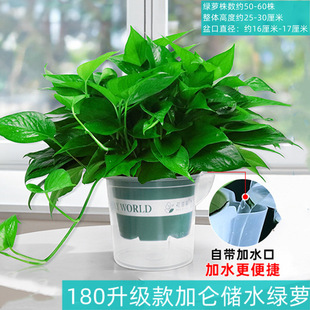 180��G�}���Ի������lˮ���L�پG�}�҃ȾGֲС�G�j����ȩС����