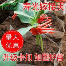 嫁接夹子黄瓜番茄西红柿西瓜夹植物固定卡扣绑蔓夹绑枝