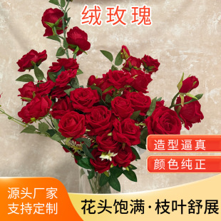 �tõ�廨���滨�ɻ�������ֱ�����˹��͏d�������[�O�bٻ�����