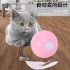 New electric cat toy LED laser feathers teasing cat ball cat self -teasing cat stick USB charging funny cat supplies