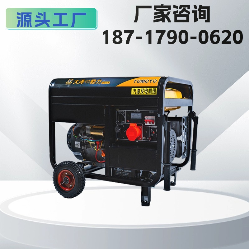 大泽动力 家用5千瓦汽油发电机TO6500ET小型