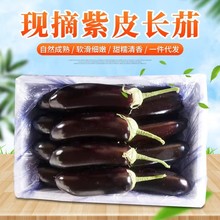 �G�������Ϻ�Ƥ�����L�������ӑ����߲ˬF؛���l���r��Ƥ�L��