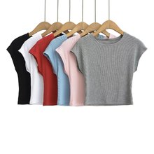 Wl2024ļ¿ɫT ᘿɫP5-A433