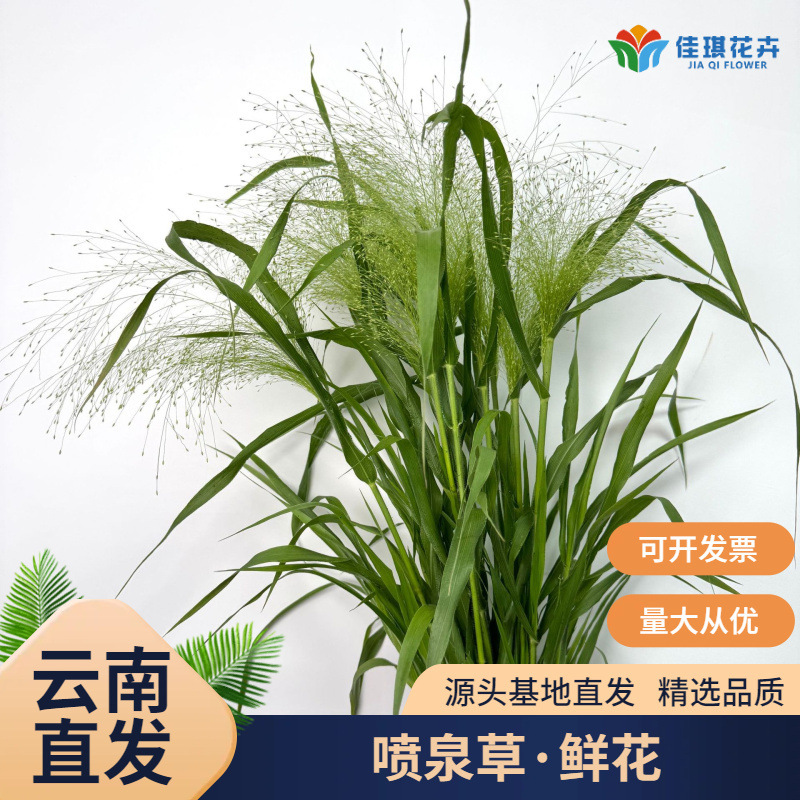 Fountain Grass Flowers Wholesale Internet Celebrity Bouquets Flower Arrangements with Flowers and Grass Matchinging Flowers for Weddings and Events