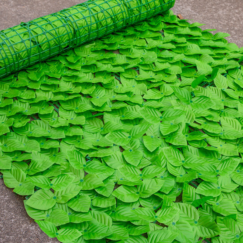 Hojas de eneldo verde claro