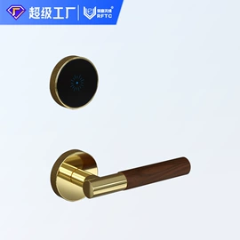 指纹锁;密码锁;IC卡锁