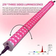 150������l��ֲ�����LED���g���ײ��a����t�׹�ȫ���V���L��S