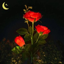 led̫���3�^5�^����õ�廨������e�����@�b�ͥԺ��ƺ�ز��