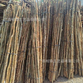 植物工艺品;圣诞树裙;万圣节摆件