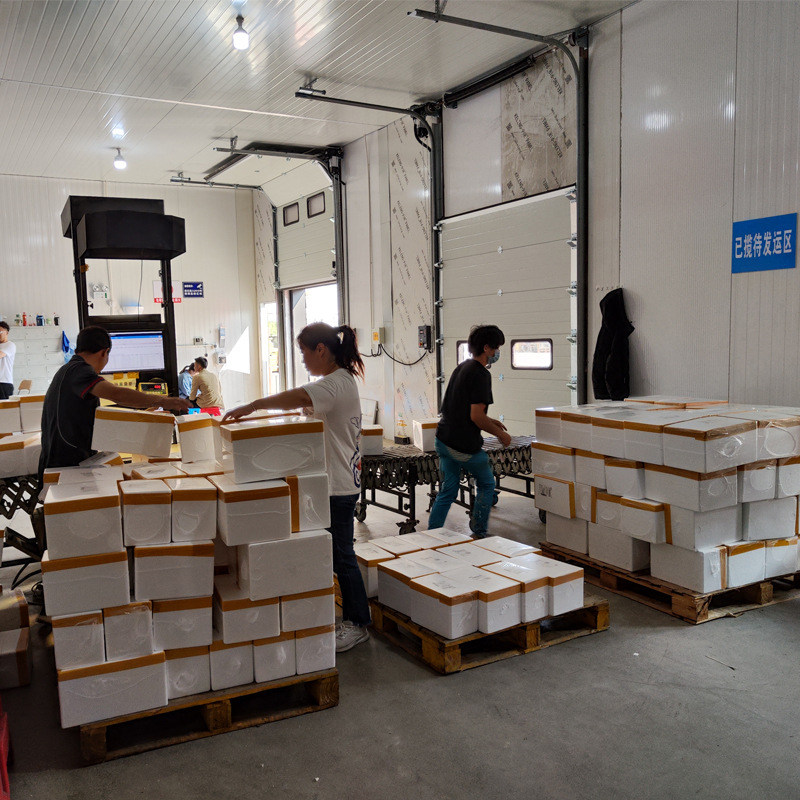 泡沫箱全自动包膜机 纸箱PE膜热收缩包装机 热收缩膜袖口式封切机