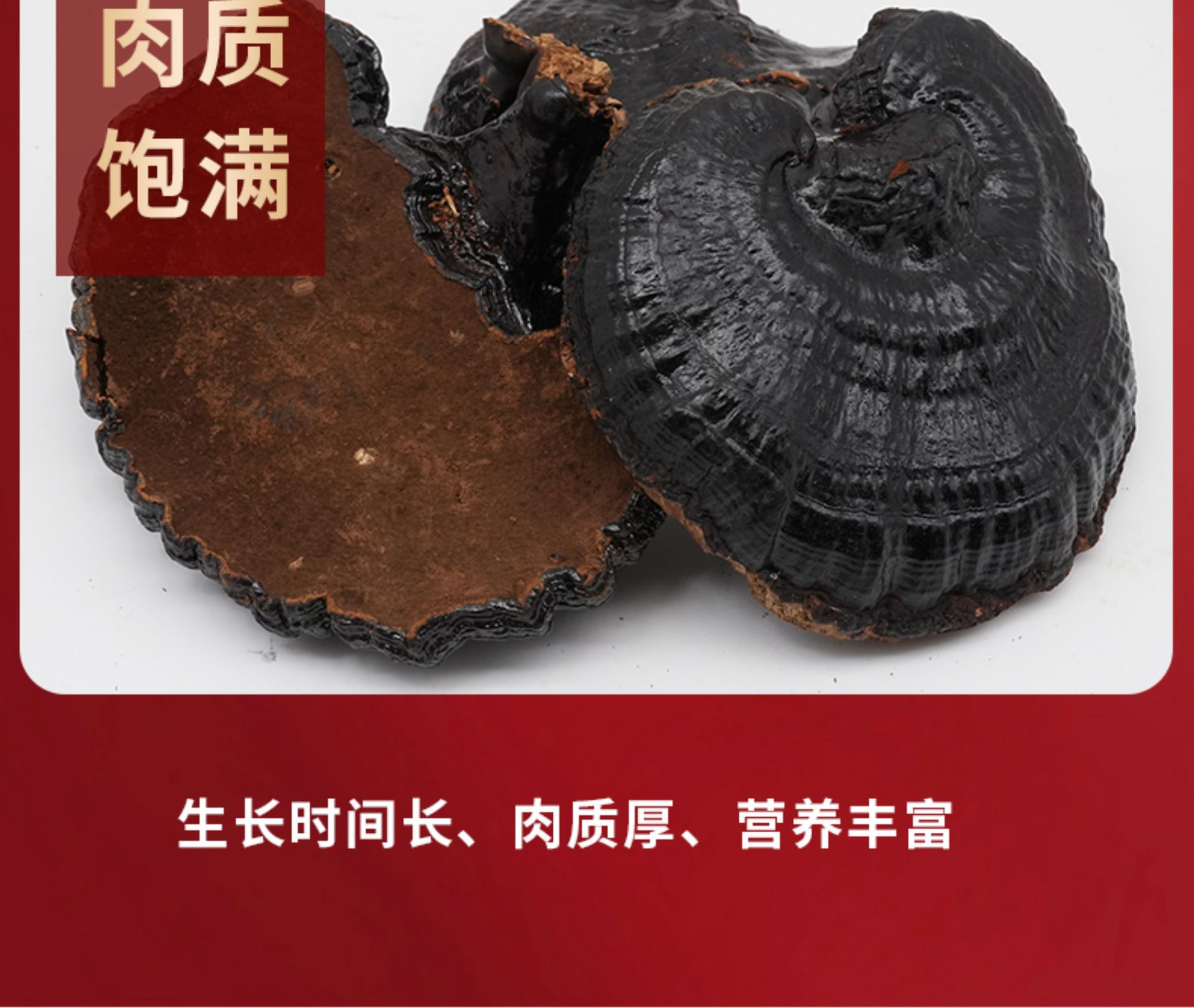 Black Lingzhi Whole Dried Reishi Mushroom 500g Changbai Mountain Hei Ling Zhi for Soup and Tea quality and texture