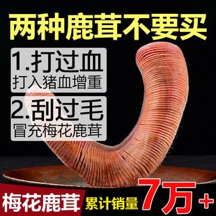 Meihua Fresh Pilose Antler Whole Root Tablets genuine goods Soaking Wine Medicinal Materials Chinese Herbal Medicine Ginseng Nourishing Fresh Deer Whip Pruning Material Special
