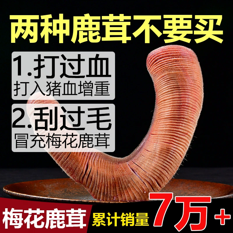 Цветение сливы свежего рога оленя