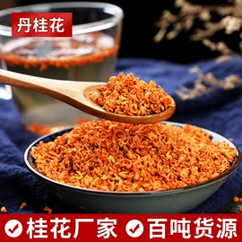 花果茶;代用/养生茶;植物香料