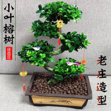 �Ř��辰��������k��������ֲ��S���Ϙ��ļ�����͏d�Gֲ8����ؔ