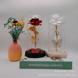 �𲭻�õ�廨�������ֽ���Y��羳�[���b��������������ո��