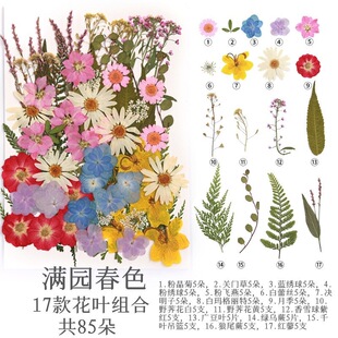 �ɻ������S��ֱ�N���z��޹�ֹ����~�N�� diy��Ȼֲ��˱�����y
