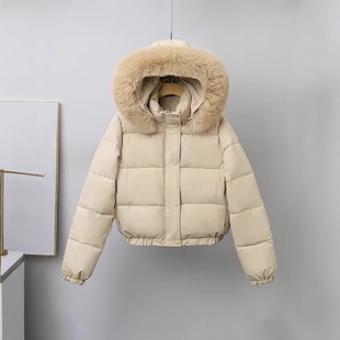 European and American Cotton Clothing 2025 Export Short Cotton Coat for Women Hong Kong Style Winter Korean Version Thickened Student Cotton Jacket with Fur Collar Cangzhou