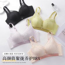 �o�Ȧ�۔n�����ϱ��º��H�w�޸ߏ��Ӹ߂����ո����ٽz�����u�ı�