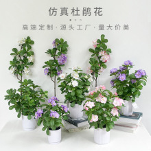 Nٻ͏d[ӳɽtϻѻcbֲPɻ